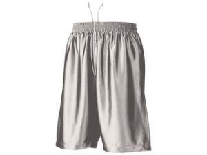 新色 100 シルバー